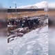 Ekoqo‘mita: Angrendagi benzin Dukensoyga oqib tushgan. Holatga huquqiy baho beriladi