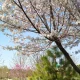 Oʻzbekistonda 3 mart kuni qanday ob-havo boʻlishi ma'lum qilindi