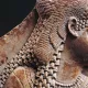 Тарихчилар Антоний ва Клеопатра қабри қаерда жойлашганини топди