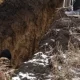 Zaporojeda okoplar qazigan o‘zbekistonlik ishchilarga va’da qilingan pul to‘lanmadi