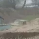 Nurota tumanida sel tirkamasida odam bo‘lgan mashinani oqizib ketdi (video)
