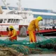 Франция Буюк Британияга «балиқ уруши» эълон қилди