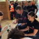 Францияда ҳайвонот боғига чақмоқ тушди: бир неча киши жароҳатланди