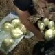 ДХХ 35 килограммдан ортиқ гиёҳванд моддаларнинг ноқонуний муомаласига чек қўйди