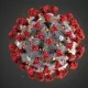 Koronavirus rasman pandemiya deb e’lon qilindi