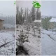 Қашқадарёнинг 4та туманида қор ёғди (видео)