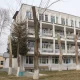 Toshkentda chinorlar kesilishi holatlari davom etmoqda