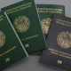 Fuqarolik pasportini faqat IIV rasmiylashtirishi kerakmi?