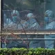 CNN: AQSH razvedkasi Uxan laboratoriyasidagi viruslar haqida ma’lumotlarni qo‘lga kiritdi