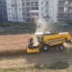 Польшалик фермерлар кўп қаватли уйлар орасида экин экиб, ҳосил олмоқда (видео)
