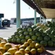 Тарвуз нархини кўрганларнинг "тарвузи қўлтиғидан тушмоқда"...
