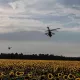 G‘arb tahlilchilarining so‘nggi prognozlari: Ukraina strategiyasi ish beryaptimi?