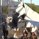 Los-Anjelesda temir yo‘l relsiga qulagan samolyotni poyezd urib ketdi (video)