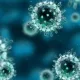 Koronavirus bo‘yicha shifokor maslahatlari va alomatlari haqida