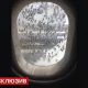 Vnukovo aeroportida "Aerobus" yo‘lovchi samolyoti ustiga minglab asalarilar yopirildi