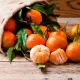 Mandarinlerin çürümemesi için nerede ve nasıl saklanmalıdır?