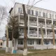 Тошкентда чинорлар кесилиши ҳолатлари давом этмоқда