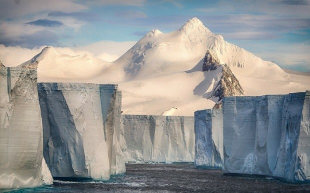 Fotojamlanma: Sony World Photography Awards 2017 fototanlovi g‘oliblari