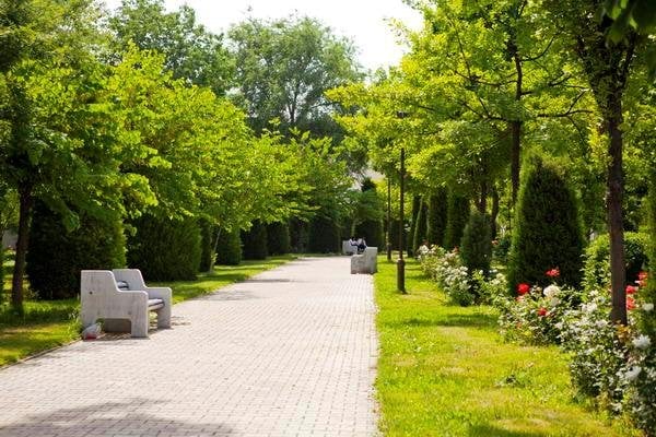 “O‘qituvchi va murabbiylar xiyobonlari” tashkil etiladi