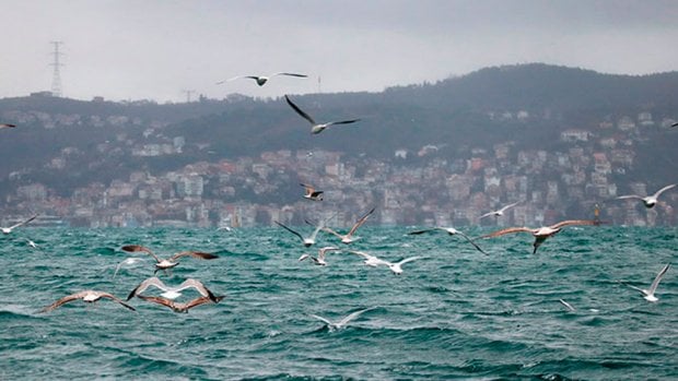 Turkiya Bosfor ko‘rfazini yopib qo‘ydi