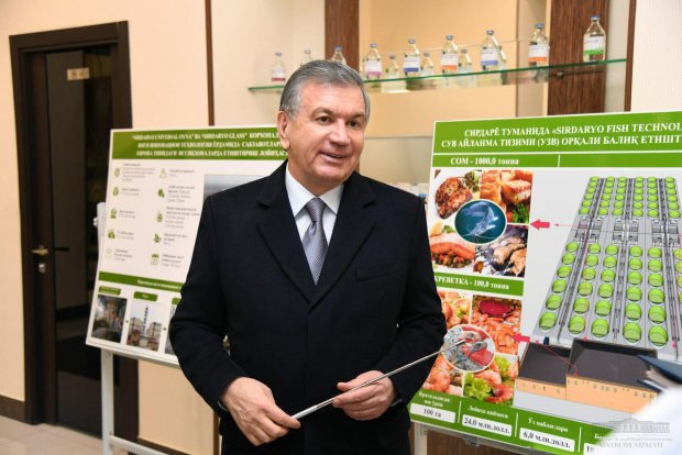Шавкат Мирзиёев Сирдарё вилоятига ташриф буюрди