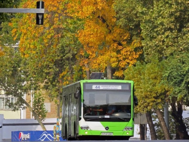 Toshkentda jamoat transportlarining yo‘llardagi harakat xavfsizligiga doir monitoring o‘tkazildi