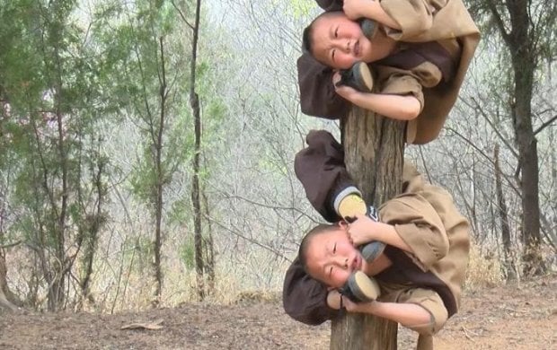 Shaolin bolalarini ko‘ring (video)