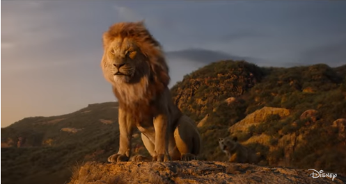 Yangi “Qirol sher”: Yugur, Simba, yugur (video)