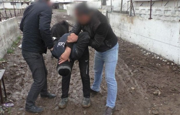 Сирдарёда мол ўғрилари бозорда қўлга олинди (фото)