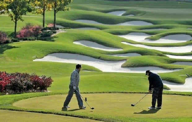 G‘allaorolda golf majmuasi tashkil etiladi