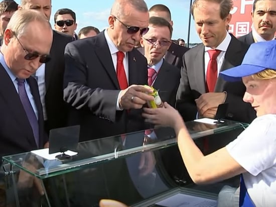 Putinga ikki marotaba muzqaymoq sotgan ayol aslida kim?