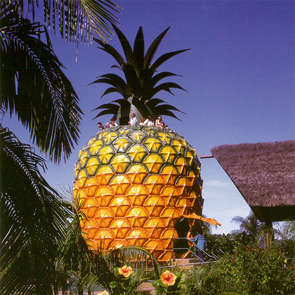 Eng ulkan ananas haqida
