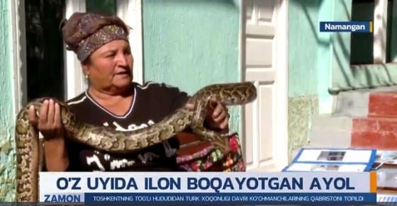 Bug‘ma ilonlarni o‘ynatuvchi kosonsoylik ayol haqida videolavha