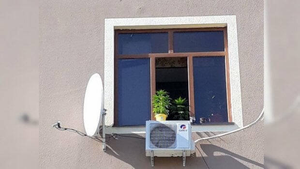 Buxorodagi ko‘pqavatli uyda tuvaklarda giyohvand o‘simliklar yetishtirilgan