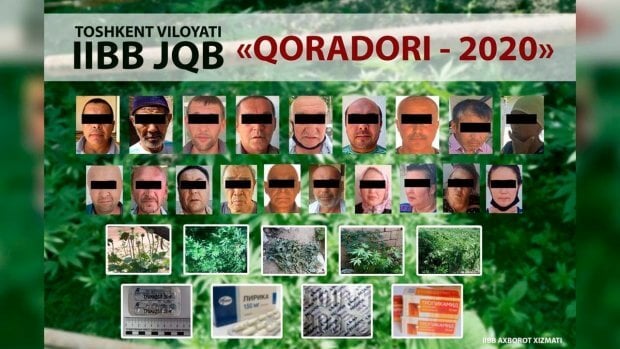 «Қорадори-2020» тадбирлари натижасида 343 млн сўмга тенг ноқонуний дори воситалари муомаладан олинди