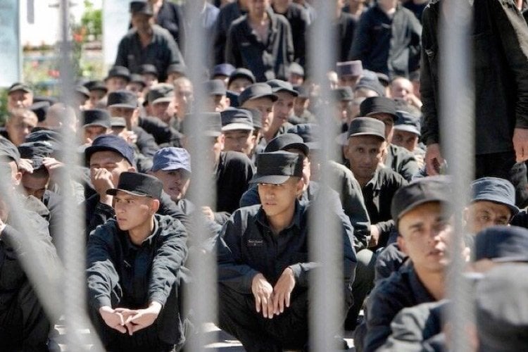 Shavkat Mirziyoyev 215 nafar mahkumni afv etdi