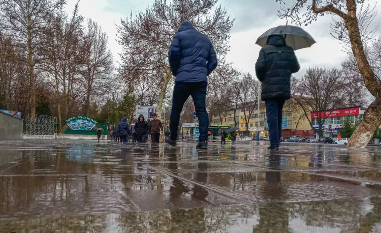 O‘zbekistonda qishning so‘nggi kuni qanday ob-havo bo‘lishi ma’lum qilindi