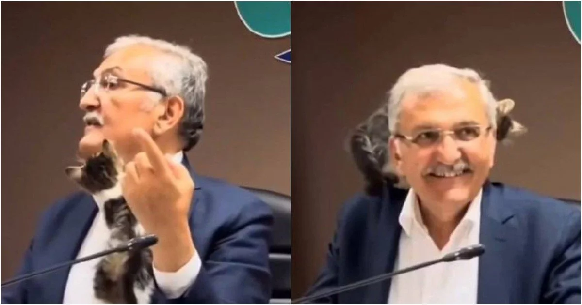 Turkiyada mushukcha majlisda nutq so‘zlayotgan siyosatchining ustiga chiqib oldi (video)